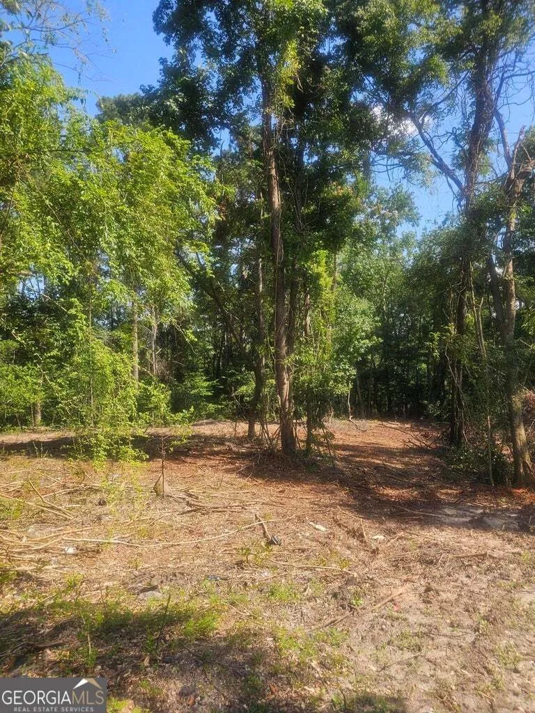 470 Forrest DR Louisville, GA 30434