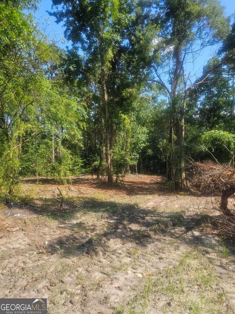 470 Forrest DR Louisville, GA 30434