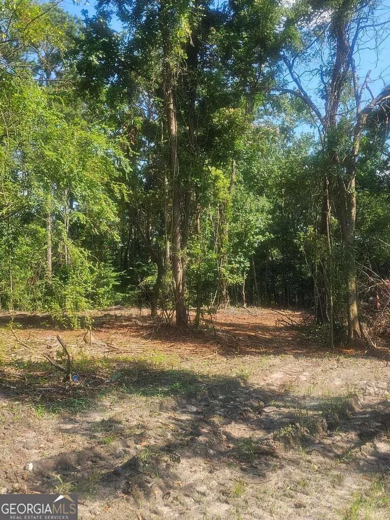 470 Forrest DR Louisville, GA 30434
