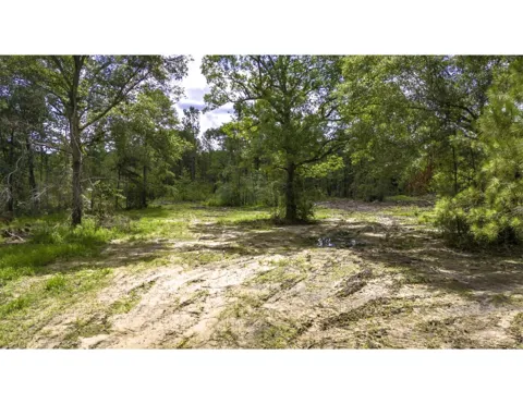 Lot 003 Holland Road