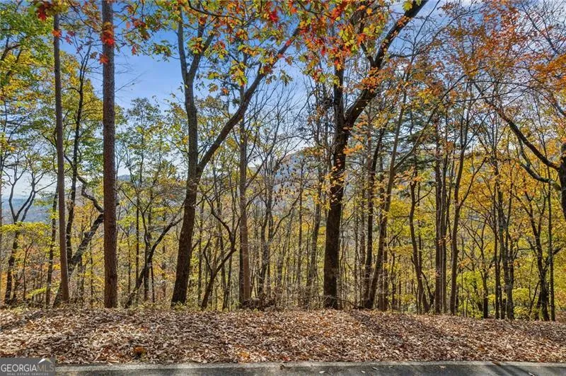 6057 Crested Iris CIR Big Canoe, GA 30143