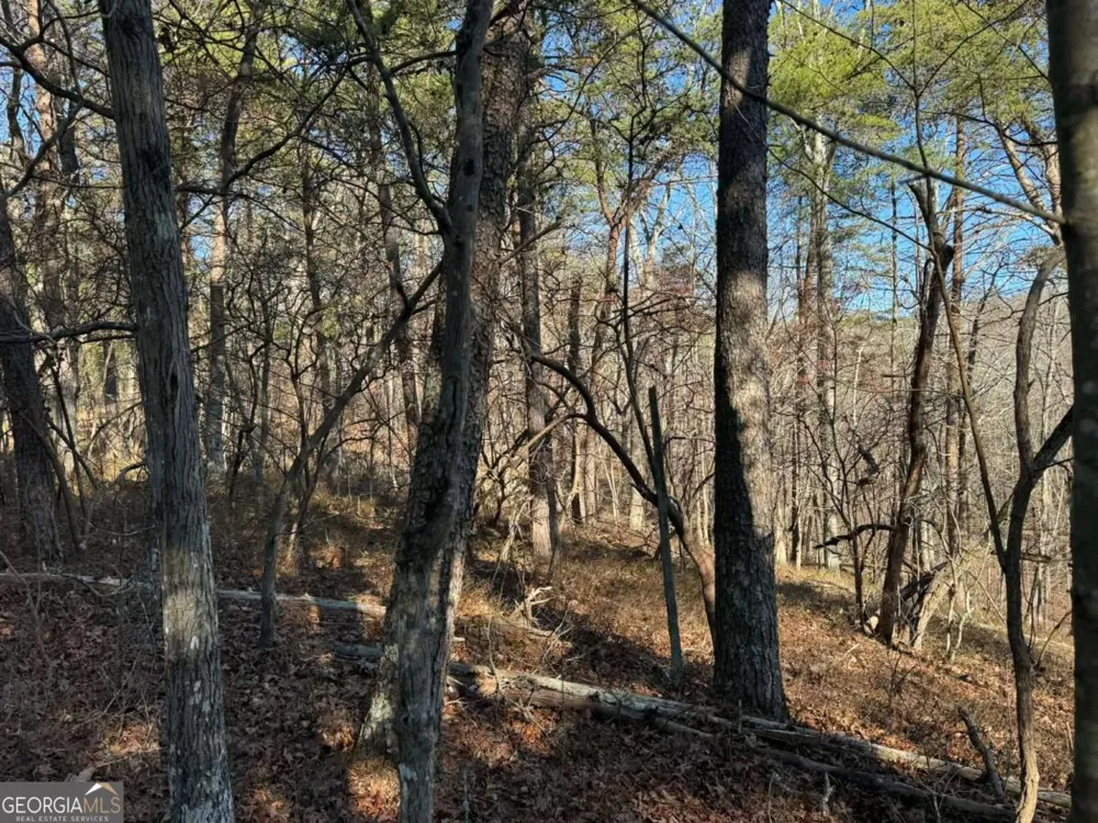 1493 Derby CT NE Ranger, GA 30734