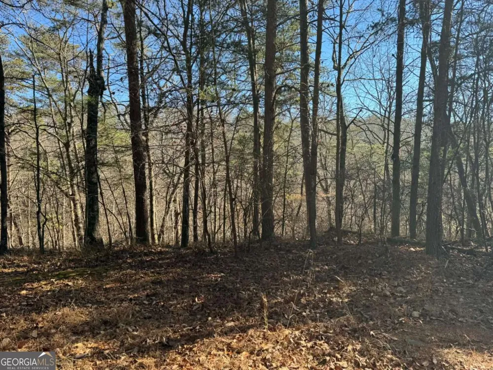 1493 Derby CT NE Ranger, GA 30734