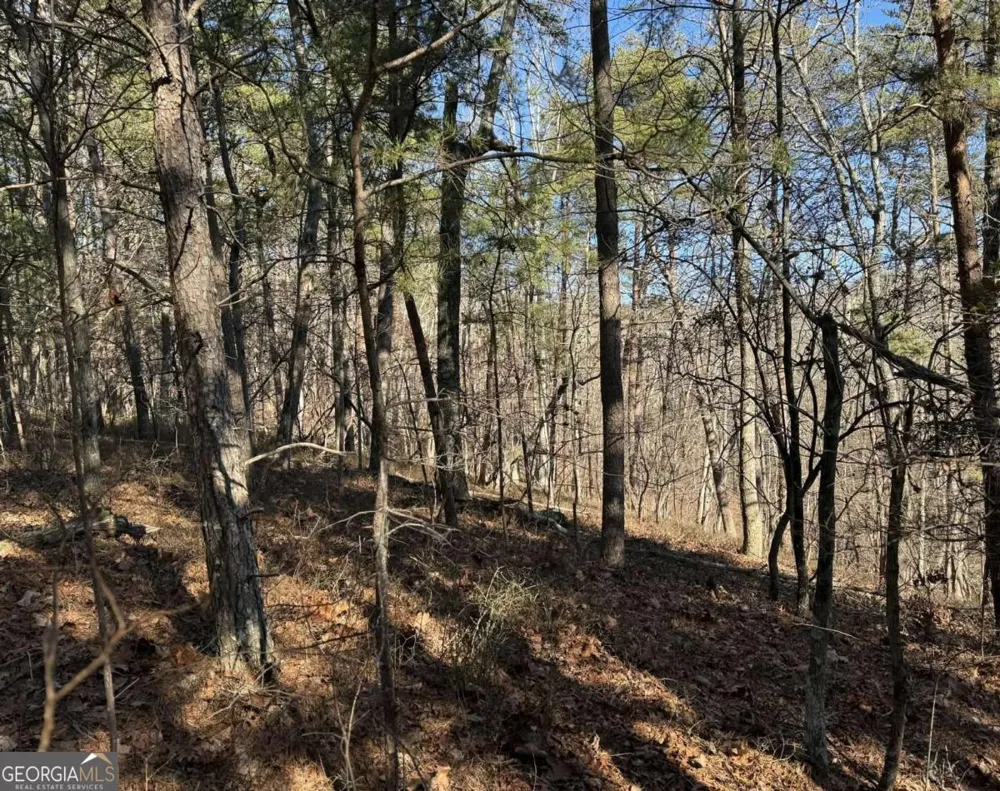 1493 Derby CT NE Ranger, GA 30734
