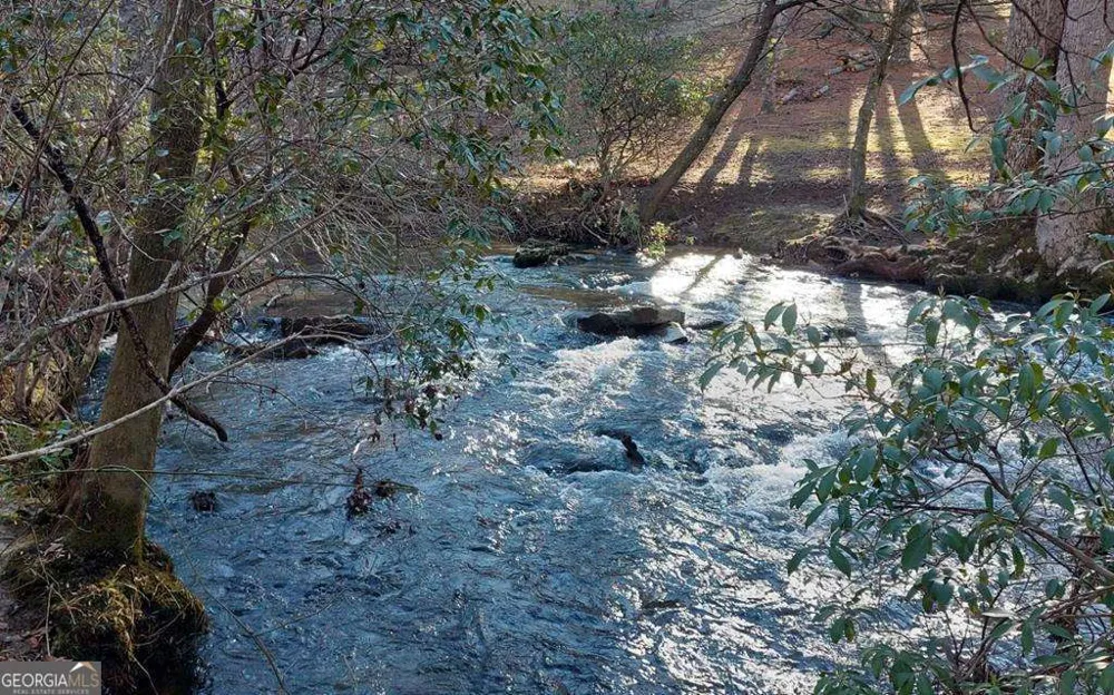 193 Opossum Road #61