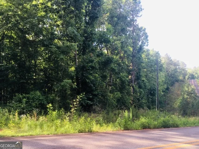 LOTS 62 & 63 Anchor Pointe DR Eatonton, GA 31024