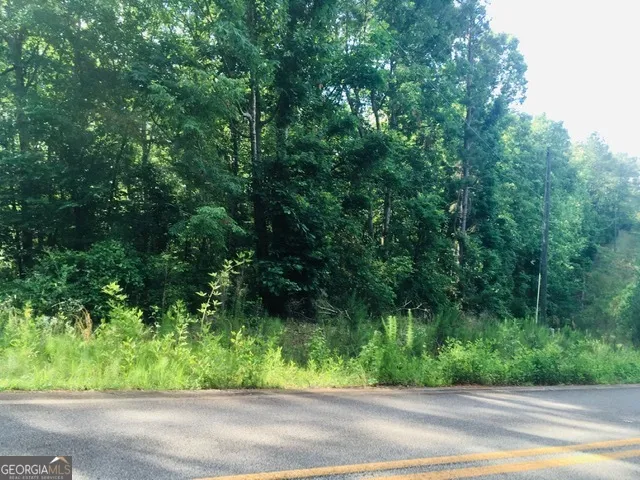 LOTS 62 & 63 Anchor Pointe DR Eatonton, GA 31024