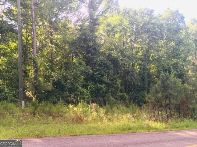 LOTS 62 & 63 Anchor Pointe DR Eatonton, GA 31024