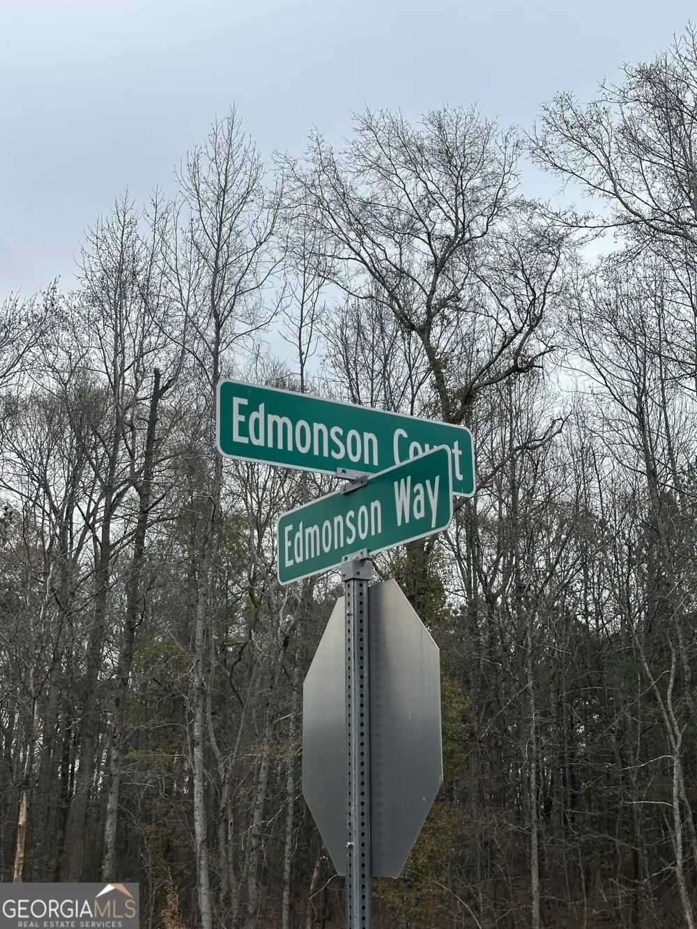 120 EDMONSON WAY Stockbridge, GA 30281