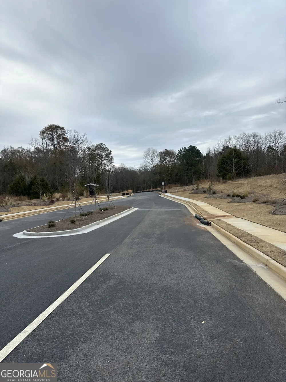 120 EDMONSON WAY Stockbridge, GA 30281