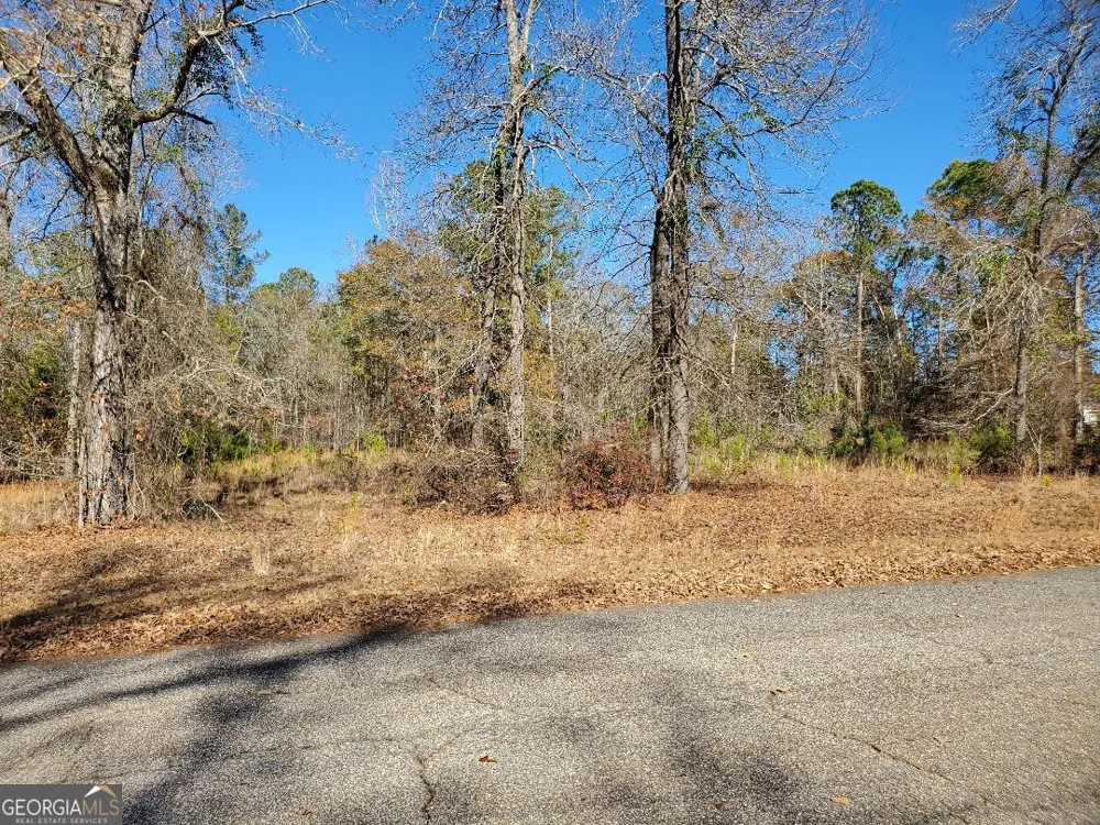 0 Tyler CT Fort Valley, GA 31030