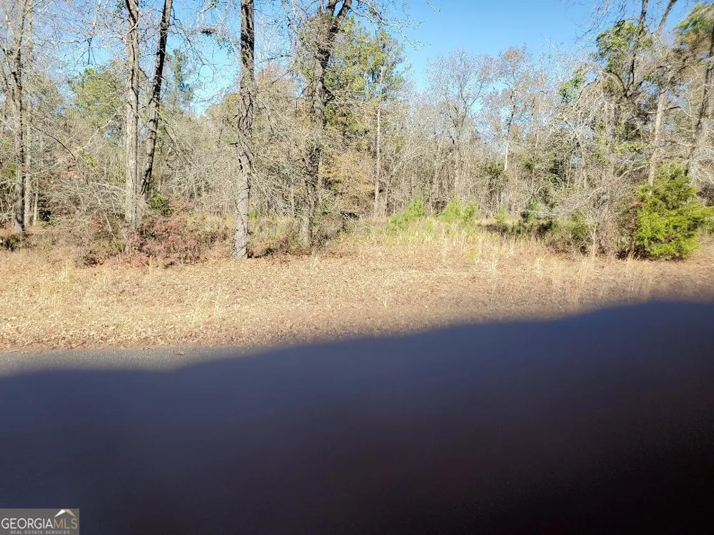 0 Tyler CT Fort Valley, GA 31030