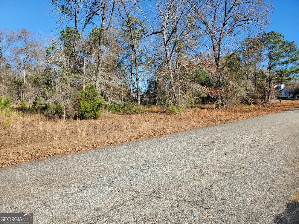 0 Tyler CT Fort Valley, GA 31030