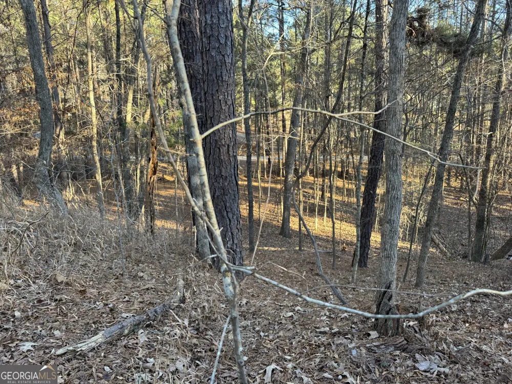 1421 Pullman LN Greensboro, GA 30642