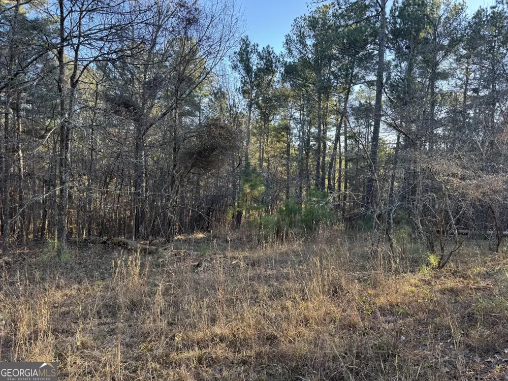 1421 Pullman LN Greensboro, GA 30642