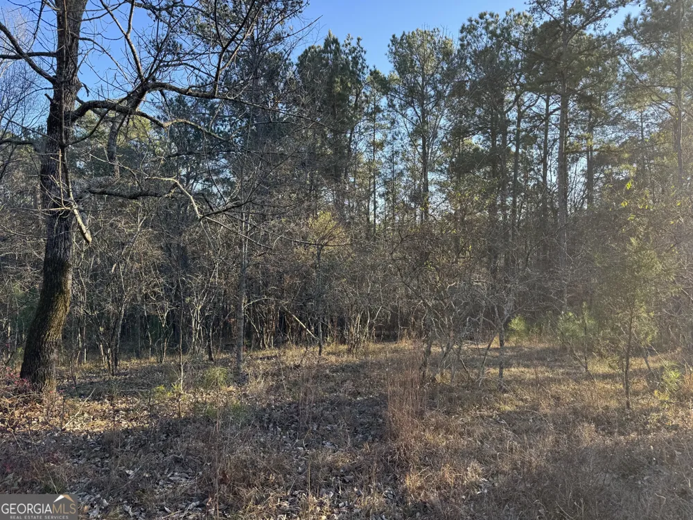 1421 Pullman LN Greensboro, GA 30642