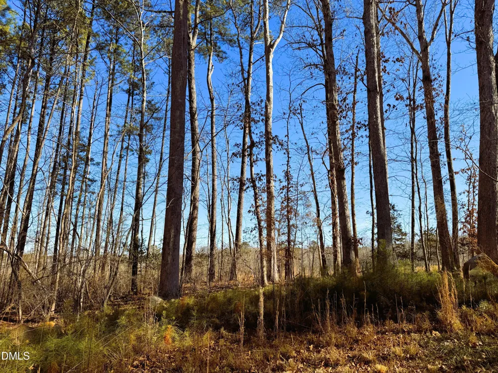 318 Jones Ferry Road Pittsboro, NC 27312