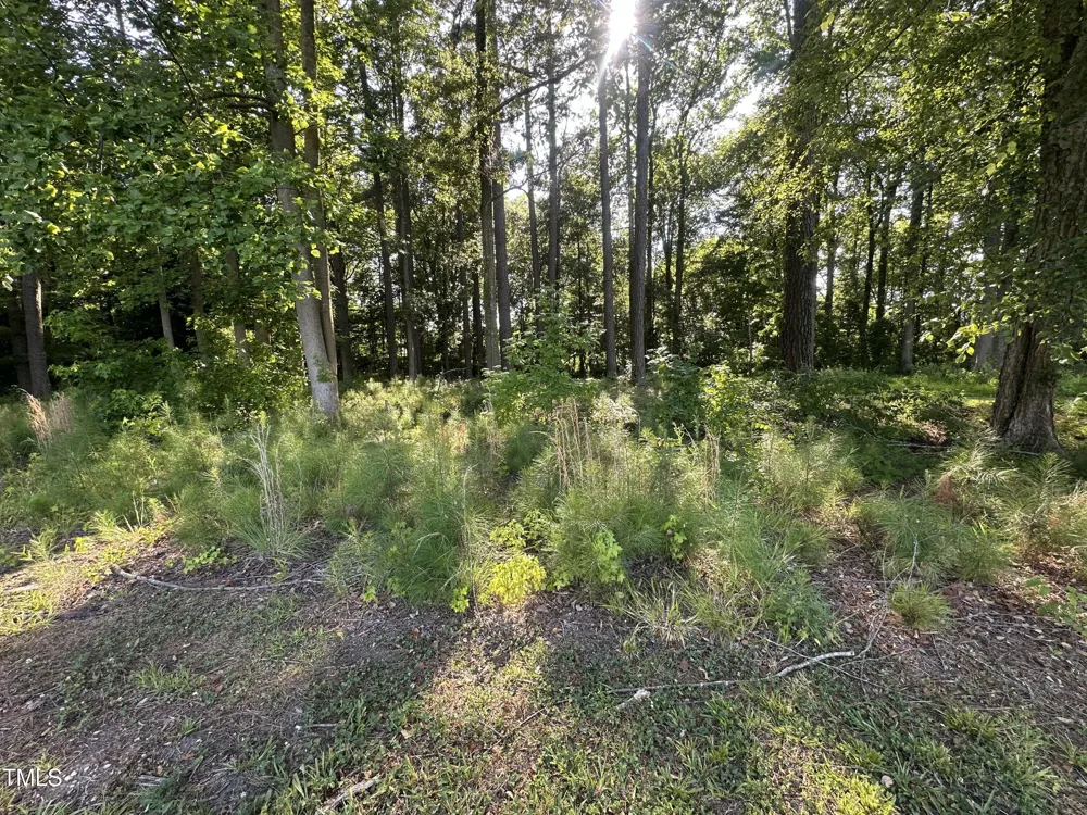 26 Phillips Road Selma, NC 27576