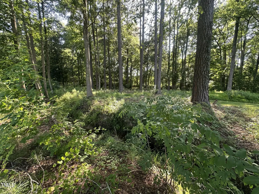 26 Phillips Road Selma, NC 27576