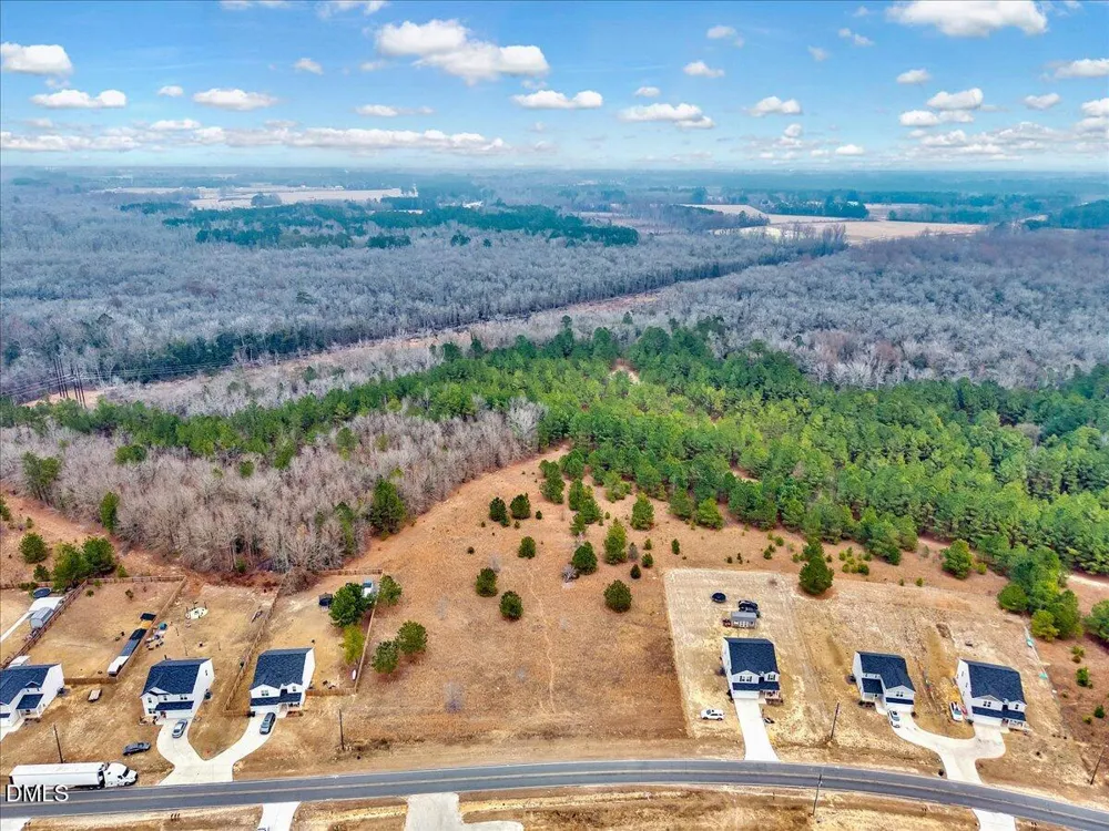 Lot 4 Blue Springs Road Red Springs, NC 28377