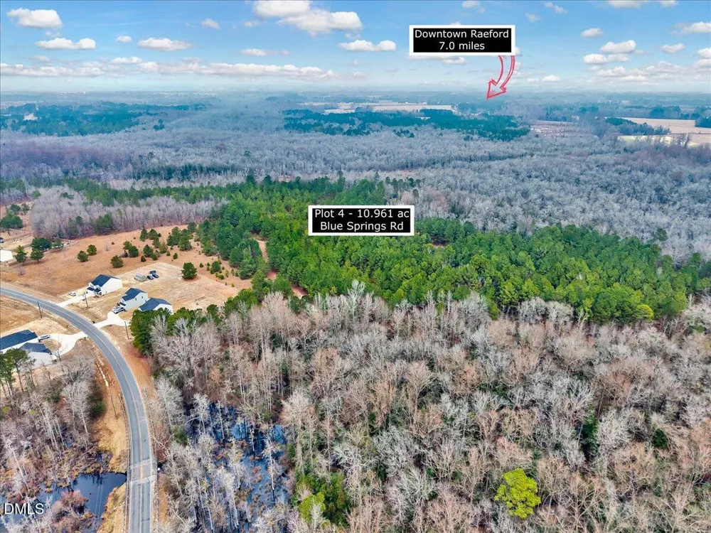 Lot 4 Blue Springs Road Red Springs, NC 28377