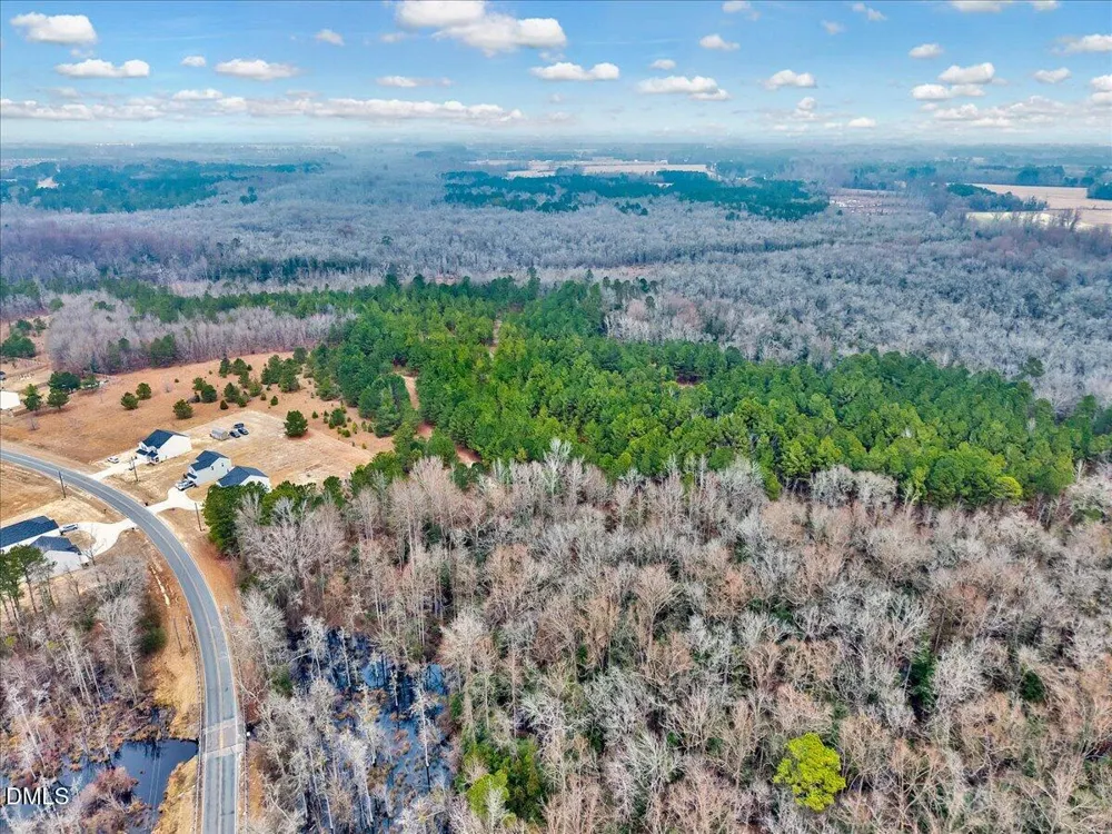 Lot 4 Blue Springs Road Red Springs, NC 28377
