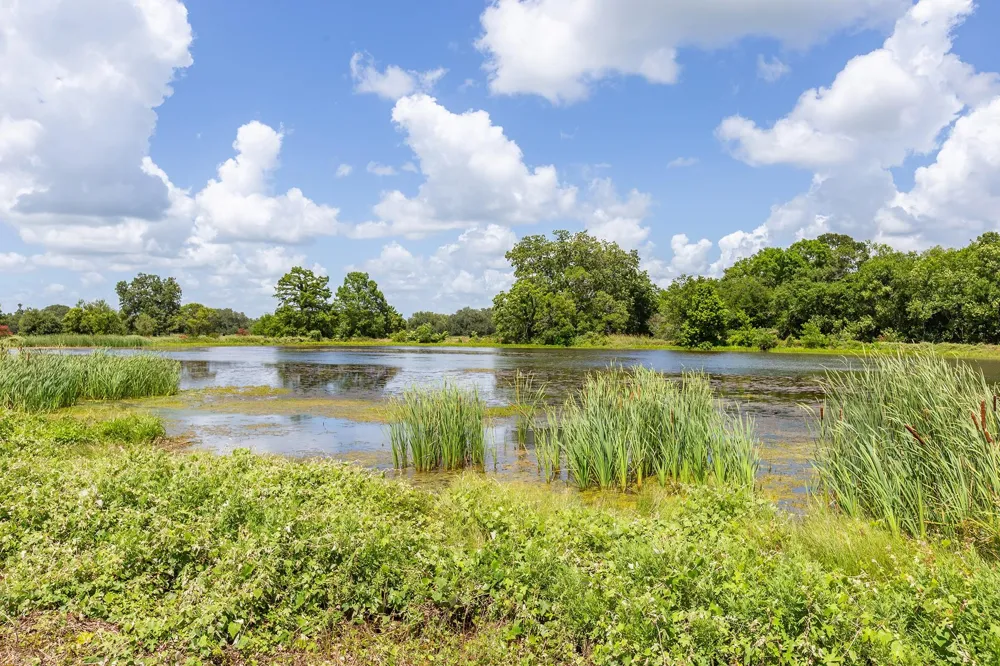 2908 Robichaux Road Pattison, TX 77423
