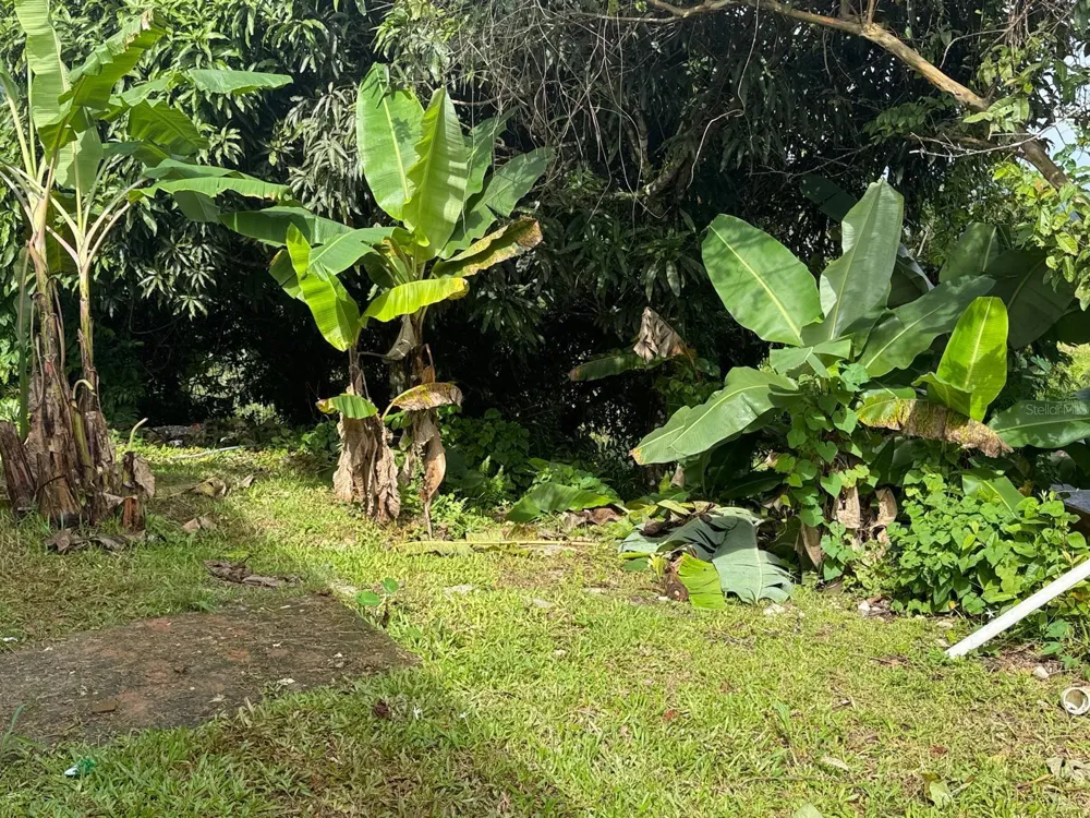 763 SAN SALVADOR Caguas, PR 00725
