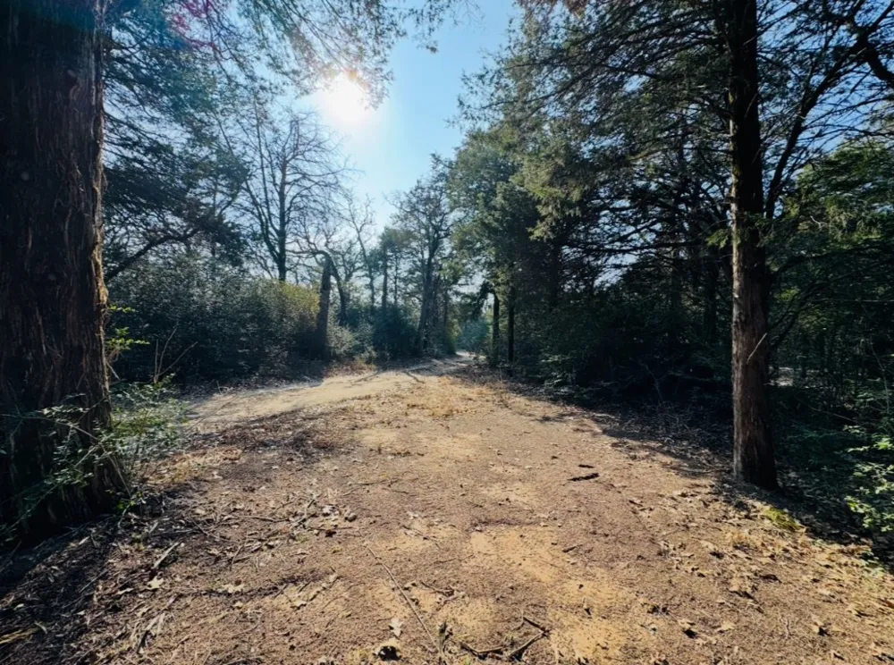 1575 County Road B Road Lexington, TX 78947