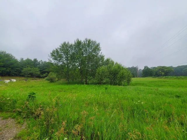 2788 Greenwood Road Mills Township, MI 48756