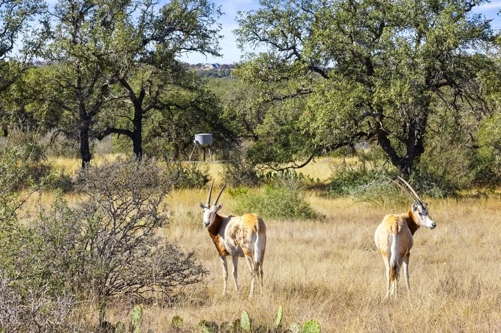 1292 Upper Turtle Creek Road Kerrville, TX 78028
