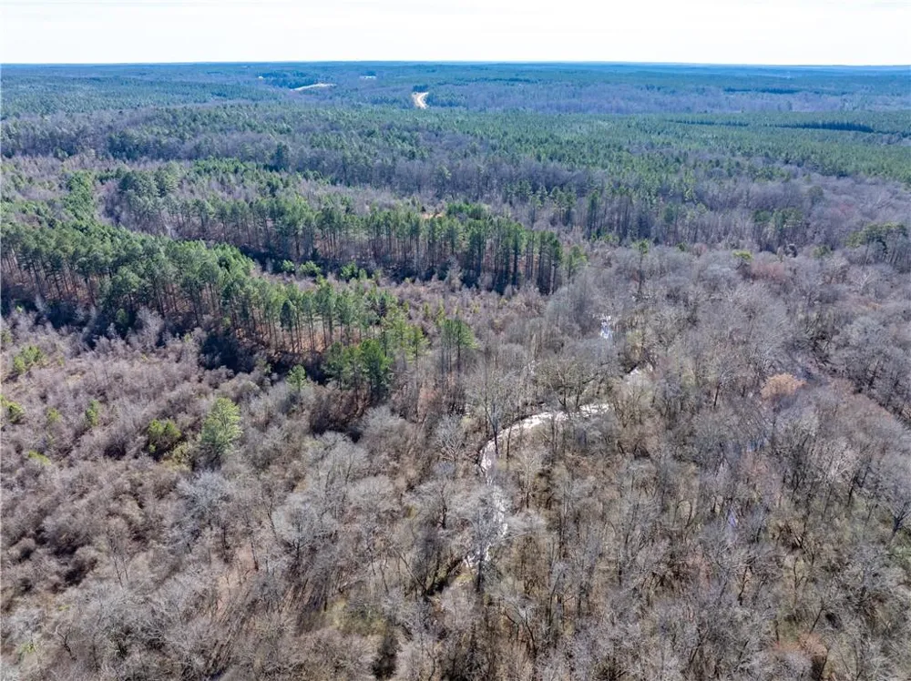 2071 Leslie Mill Road Greensboro, GA 30642