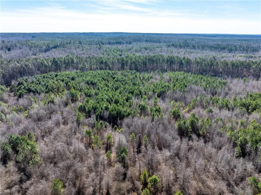 2071 Leslie Mill Road Greensboro, GA 30642