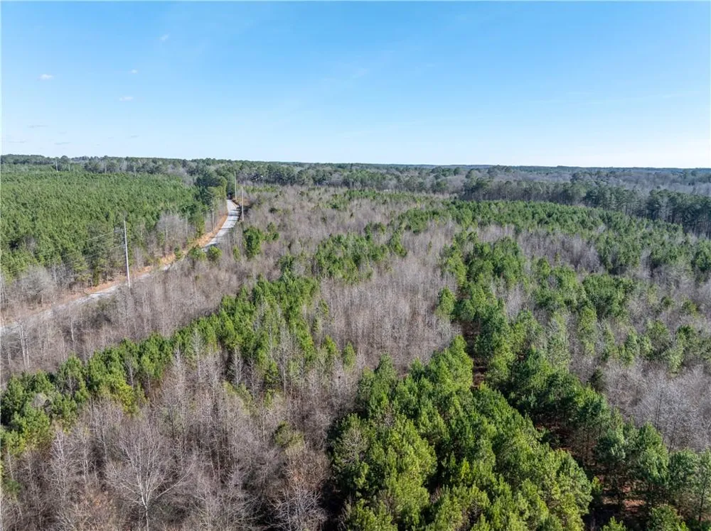 2071 Leslie Mill Road Greensboro, GA 30642