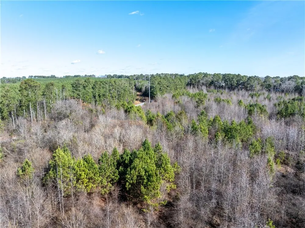 2071 Leslie Mill Road Greensboro, GA 30642
