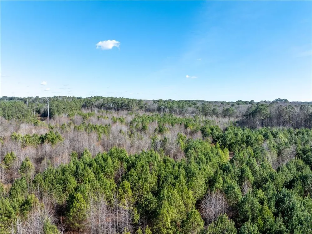 2071 Leslie Mill Road Greensboro, GA 30642