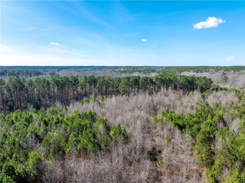 2071 Leslie Mill Road Greensboro, GA 30642