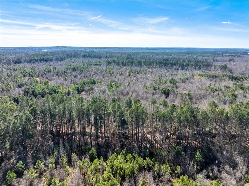2071 Leslie Mill Road Greensboro, GA 30642