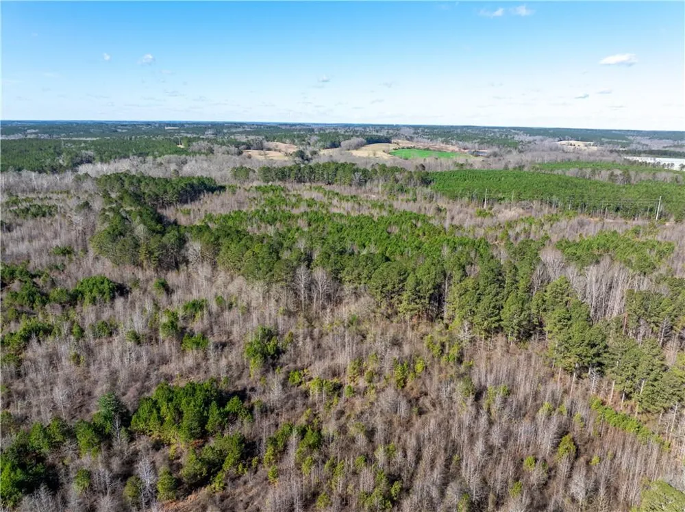 2071 Leslie Mill Road Greensboro, GA 30642