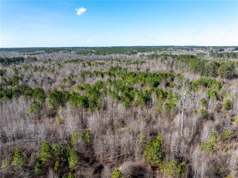 2071 Leslie Mill Road Greensboro, GA 30642