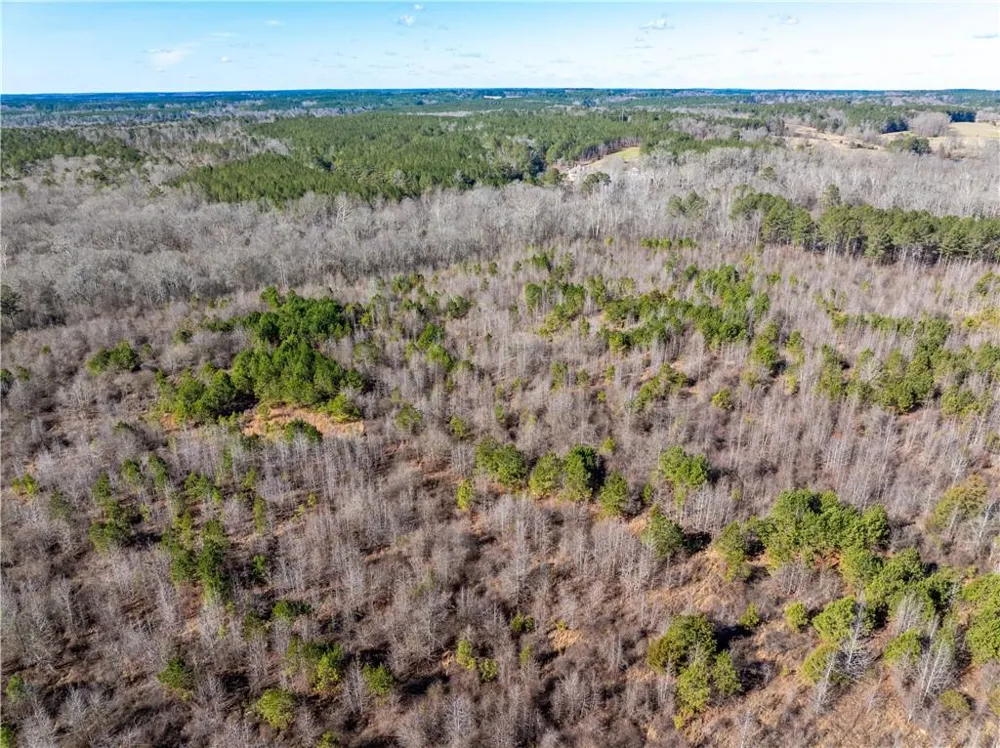 2071 Leslie Mill Road Greensboro, GA 30642