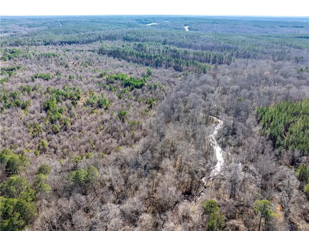 2071 Leslie Mill Road Greensboro, GA 30642