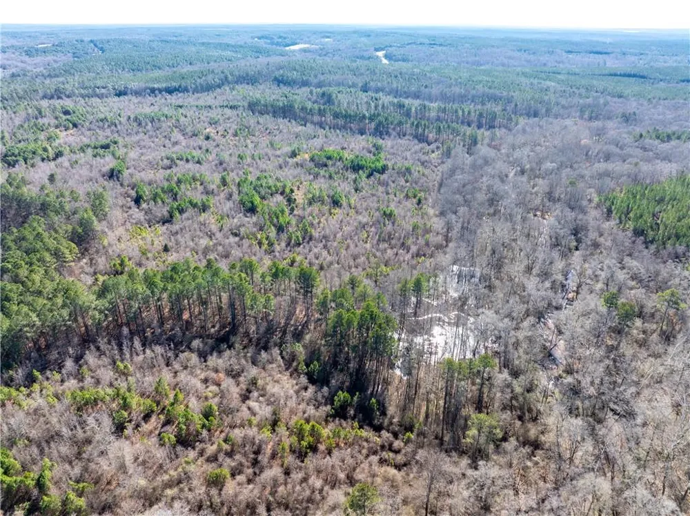 2071 Leslie Mill Road Greensboro, GA 30642