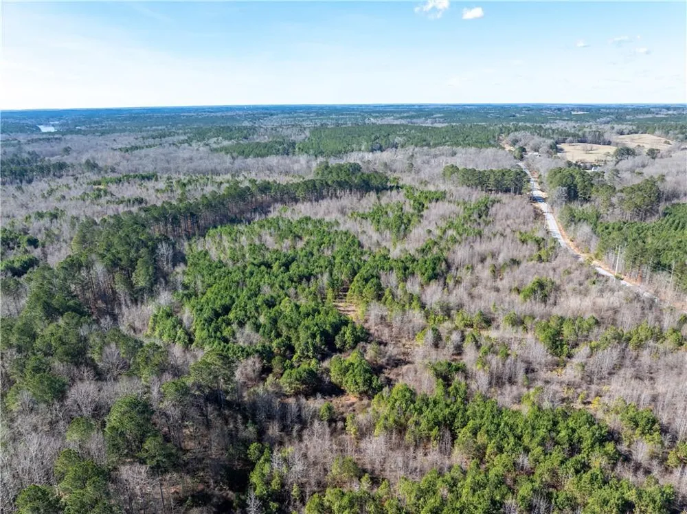 2071 Leslie Mill Road Greensboro, GA 30642