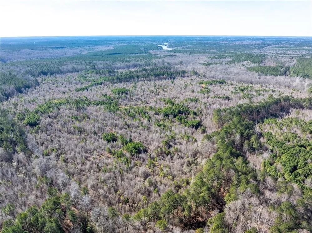 2071 Leslie Mill Road Greensboro, GA 30642