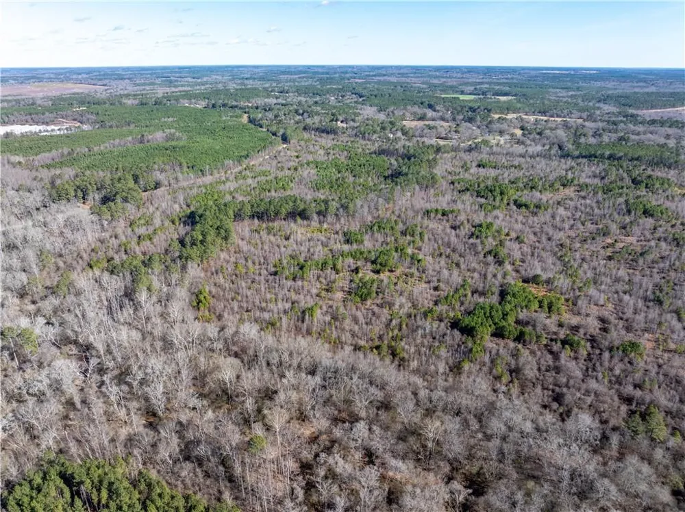 2071 Leslie Mill Road Greensboro, GA 30642
