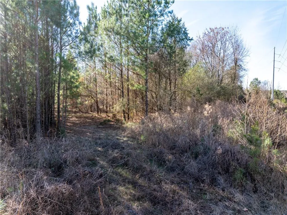 2071 Leslie Mill Road Greensboro, GA 30642