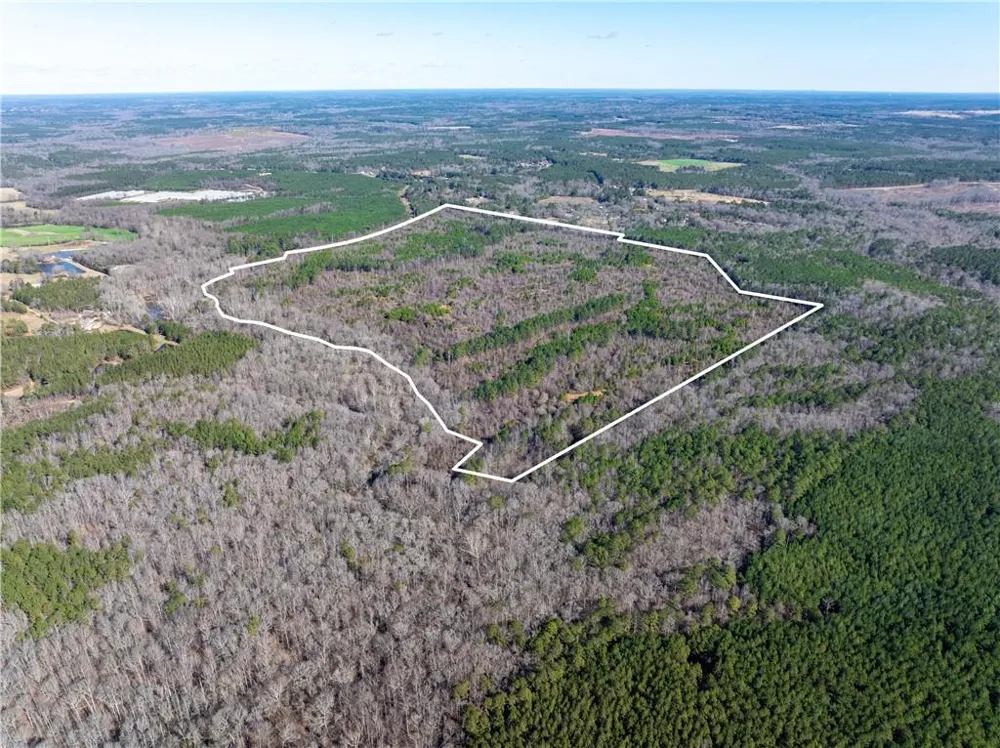 2071 Leslie Mill Road Greensboro, GA 30642