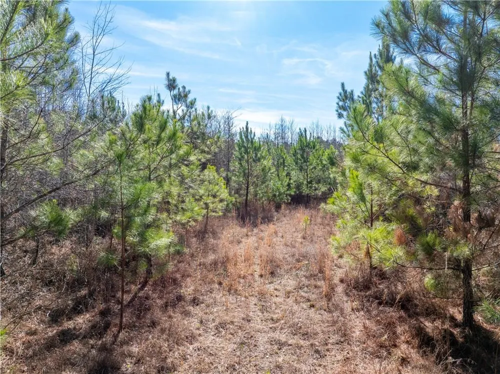 2071 Leslie Mill Road Greensboro, GA 30642