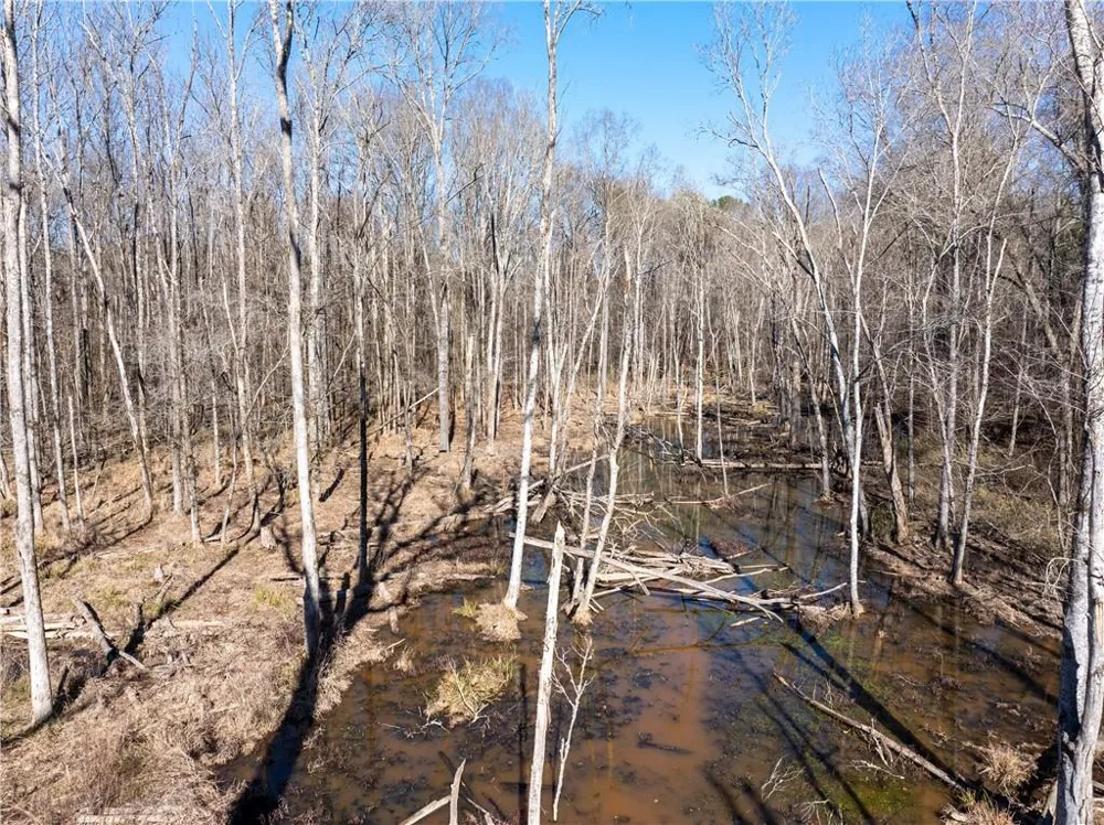 2071 Leslie Mill Road Greensboro, GA 30642